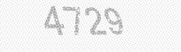 Visual security code — type the characters shown in the image
