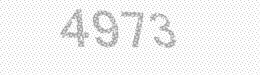 Visual security code — type the characters shown in the image