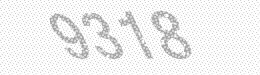 Visual security code — type the characters shown in the image